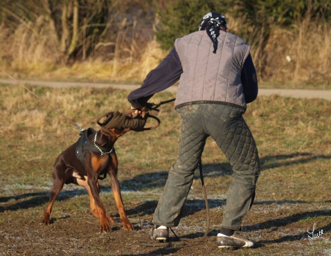 The christmas training 27.12.2006